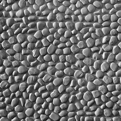 csm_2_170_grey_7270d39291.jpg