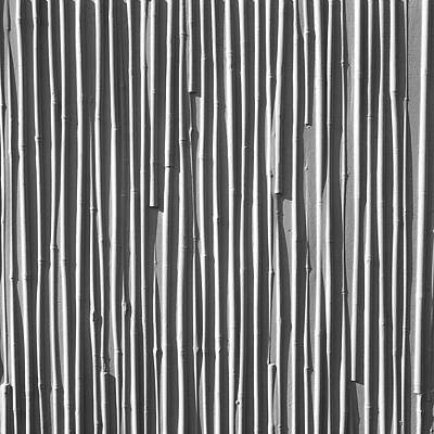 csm_2_48_grey_eaf7265554.jpg